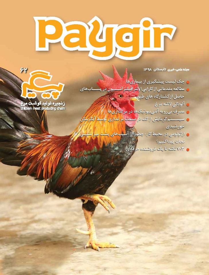 دانلود مجله پیگیر - شماره 62